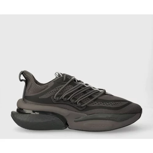 Adidas Tekaški čevlji AlphaBoost V1 siva barva