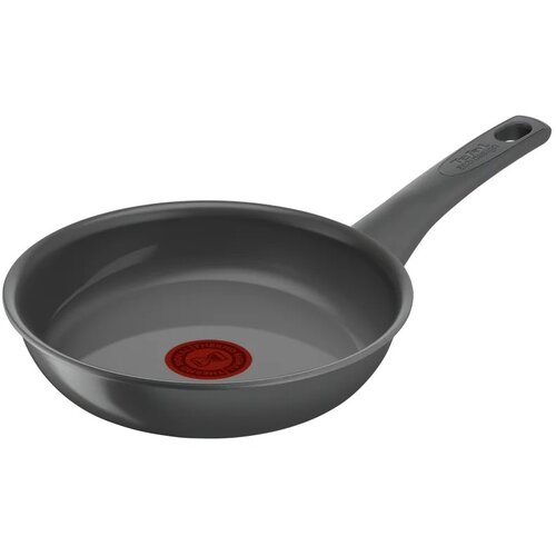 Tefal Renewal Tiganj 24 cm C4260443 Cene