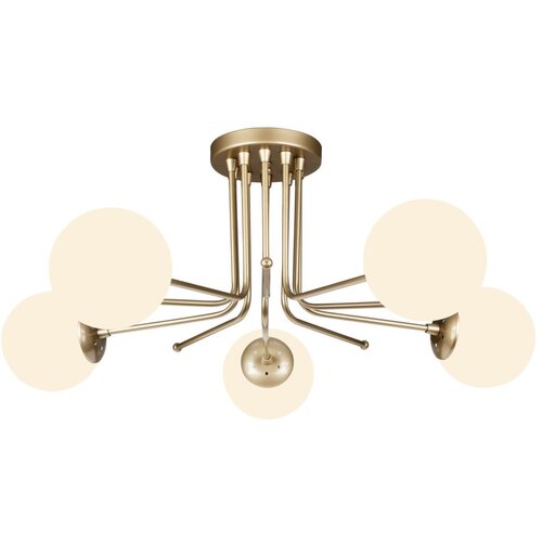Squid Lighting stropna lampa u zlatnoj boji Star, visina 34 cm Cijene