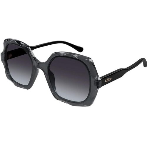 Chloe CH0226S 001 ONE SIZE (53) Siva/Siva Cene