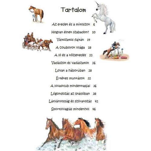  101 stvari, ki jih je dobro vedeti o konjih - knjiga za otroke v madžarščini Cene