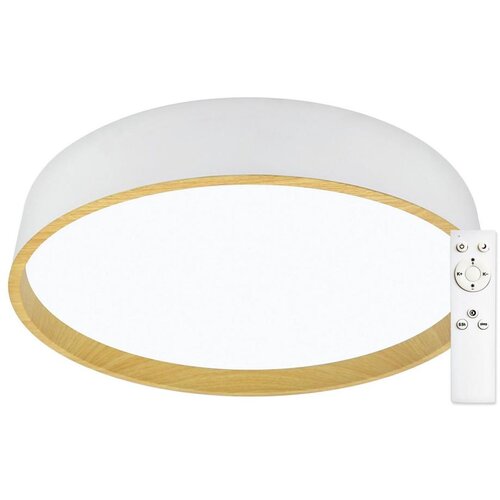 Top Light - LED prigu&scaron;iva plafonska svetiljka DEKOR LED/51W/230V + sa daljinskim upravljačem bela/bež Cene