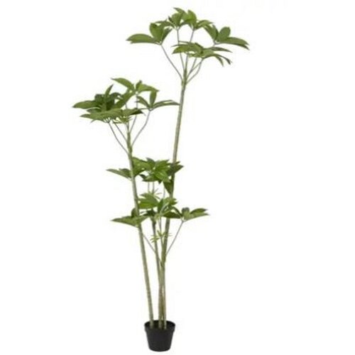 Ambia Home UMETNA RASTLINA 70/180/70 cm Slike