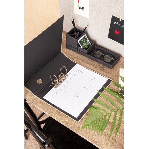 Bigso Box of Sweden Kartonast organizator za dokumente Archie &amp;ndash; Slike