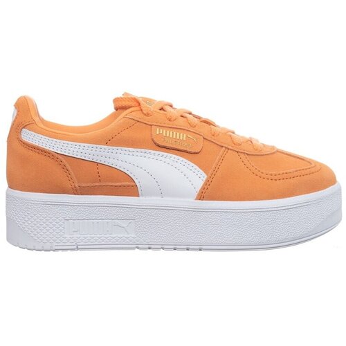 Puma Nizke superge Palermo Elevata pisana Slike