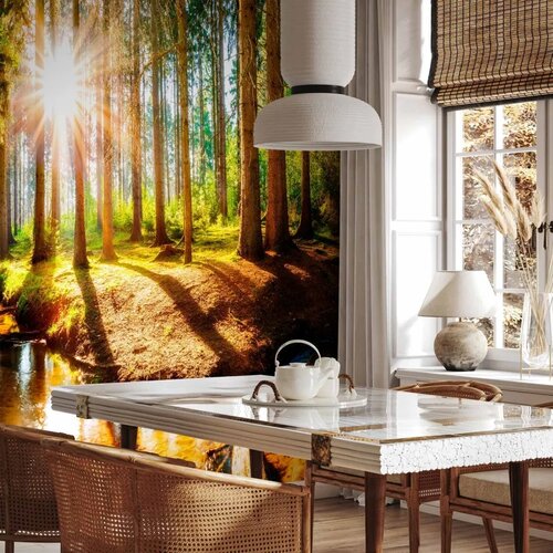  Foto tapeta - Marvelous Forest 500x350 Vodootporna Slike