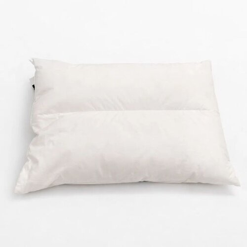 Dekordom Jastuk ANATOMIC - JUST LIKE DOWN 50x70 Slike