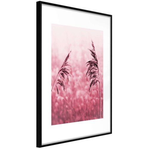  Poster - Amaranth Meadow 30x45 Cijene