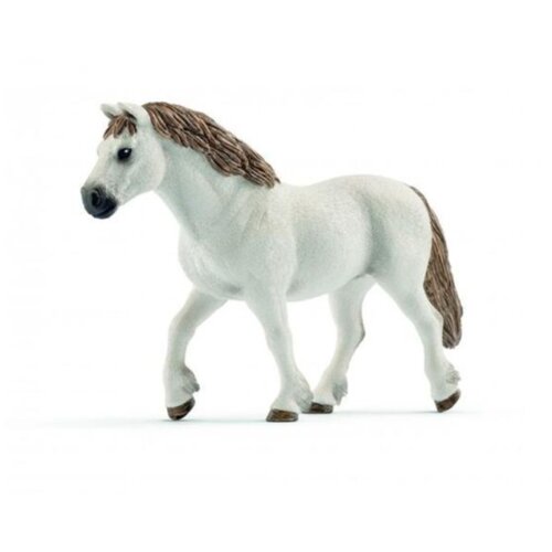  Welsh poni kobila Cene