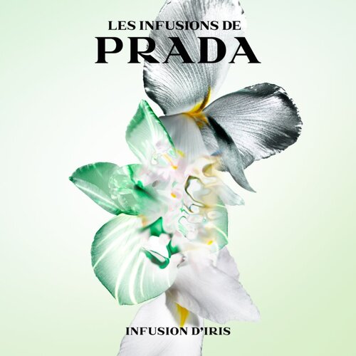 Prada Les Infusions: Infusion Iris parfumska voda uniseks 100 ml Slike
