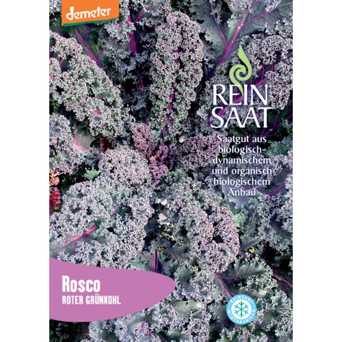 ReinSaat Rdeči ohrovt "Rosco" - 1 pkt. Cene