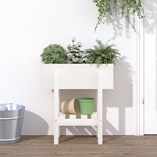 vidaXL Vrtna sadilica bijela 62 x 30 x 69 cm od masivne borovine Cijene
