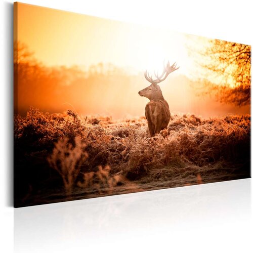  Slika - Deer in the Sun 120x80 Slike