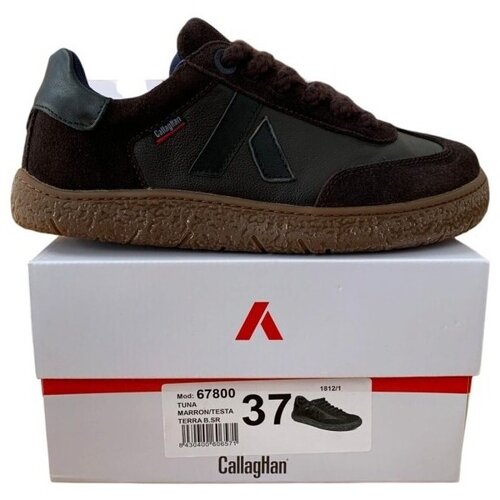 CallagHan Nizke superge 67800 TERRA Marr&amp;oacute;n Kostanjeva Slike