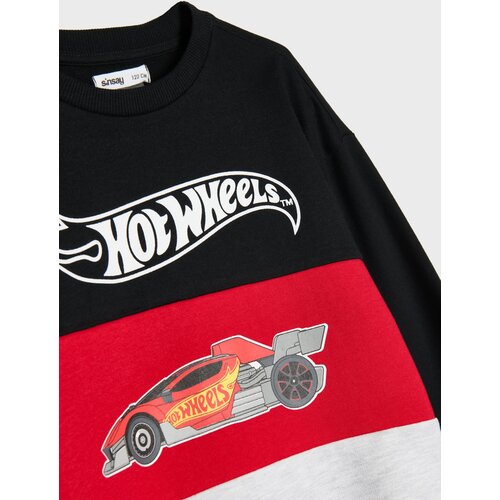 Sinsay Bluza s okruglim izrezom s printom Hot Wheels Slike