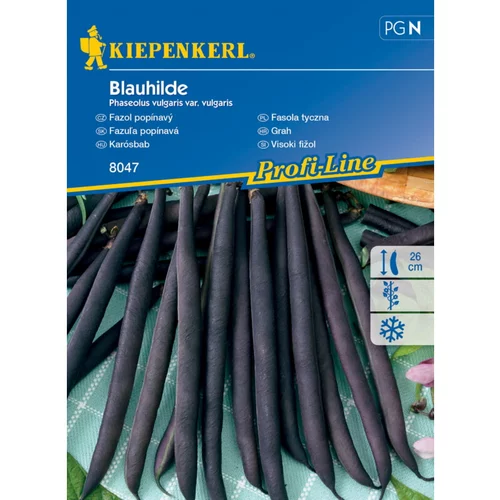 KIEPENKERL Visoki fižol Blauhilde Kiepenkerl (Phaseolus vulgaris var. vulgaris)