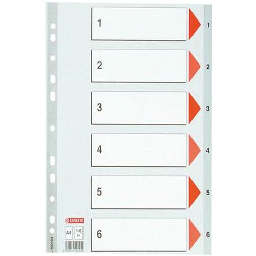 Esselte Pregradni karton 1-6 A4 PP, siv Slike
