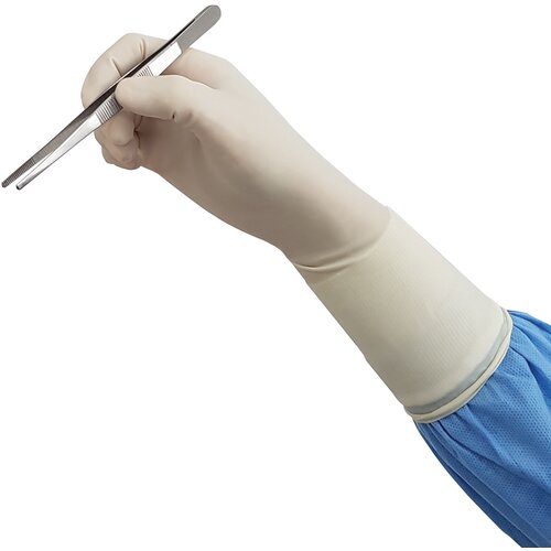 Zarys easyCARE Latex Gloves with Powder Transparent 100 pack L Cene