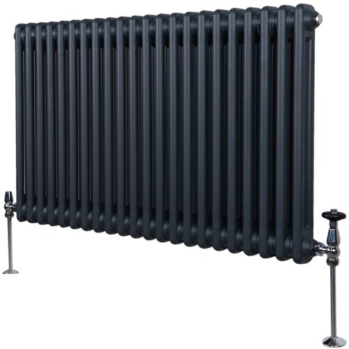 Monster Tradicionalni radiator z 2 stolpcema - 600 x 1012 mm - antracitno siva, (21569977) Cene