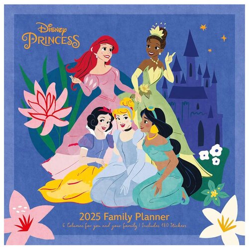 Pyramid zidni kalendar disney princess - 2025 family planner 30x30cm Slike