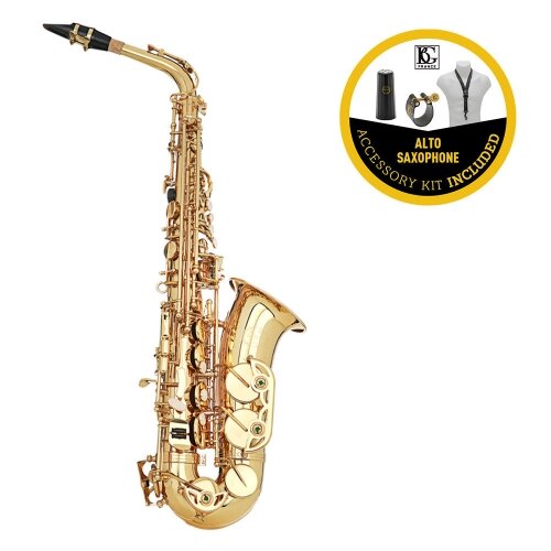 Grassi SAL700 BUNDLE + BG accessories kit - alto saksofon sa koferom Slike