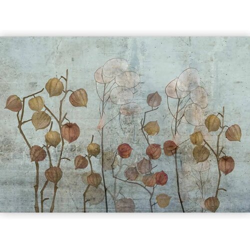  Foto tapeta - Painted Lunaria 450x315 Cene