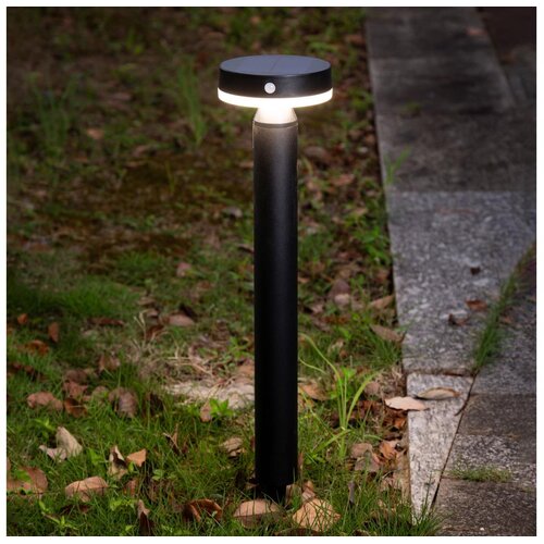  LED solarna lampa sa senzorom GWINEA LED/4,5W/3,7V 2000 mAh 50 cm IP44 crna Cene