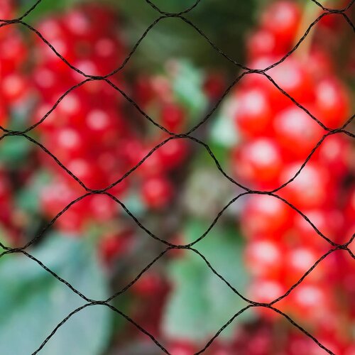 Nature Mreža za Zaštitu od Ptica "Primo" 10x10 m Crna 6030407 Cijene