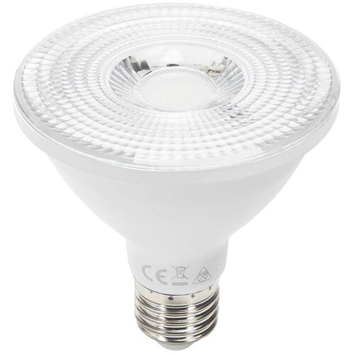 Aigostar led sijalica PAR30 E27/12W/230V 3000K Cene