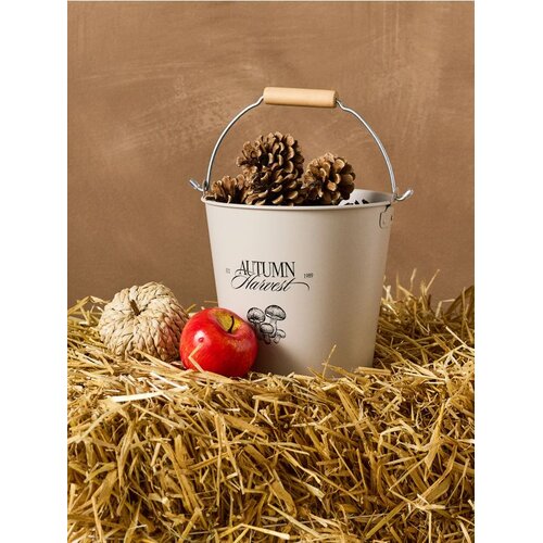 Sinsay Metalna kanta s ručkom i natpisom &bdquo;Autumn Harvest&ldquo; Cijene