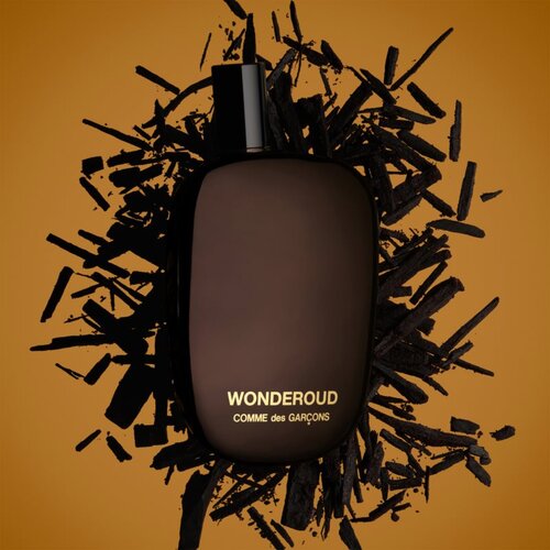 COMME des GARCONS Wonderoud parfemska voda 100 ml unisex Cijene