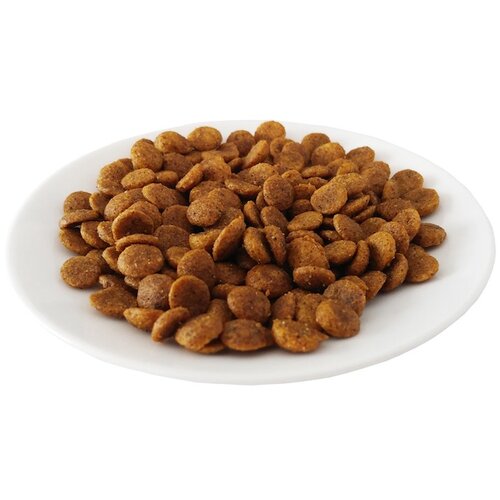 Farmina hills hrana za mačke na razmer - Adult Cat Jagnjetina 500g Slike