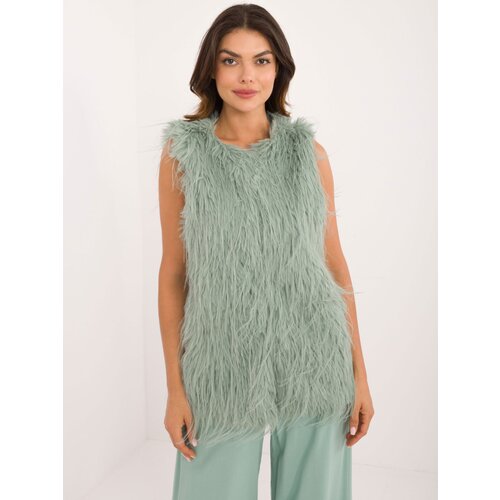 Wool Fashion Italia Vest-AT-KZ-2349-1.18-pistachio Cene