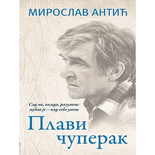 Laguna Plavi čuperak - Miroslav Antić Slike