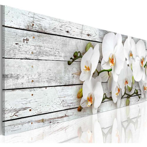  Slika - White Dreams 135x45 Slike