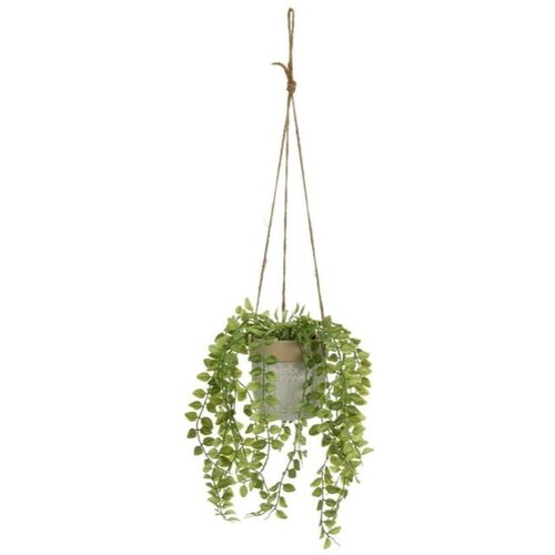 Casa Selección Umetna rastlina (višina 34 cm) – Cene