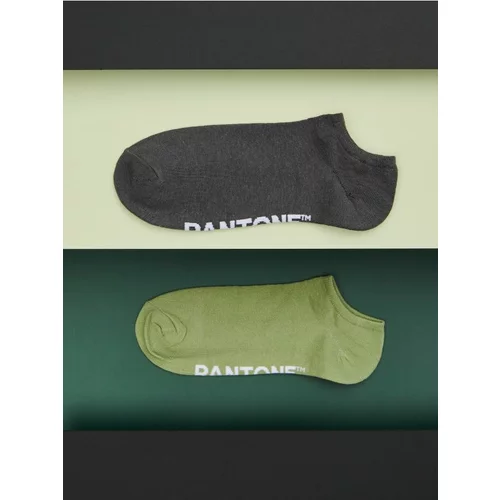 Sinsay - Komplet od 2 para čarapa Pantone