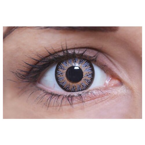 ColourVUE Glamour Grey (2 sočiva) Cene