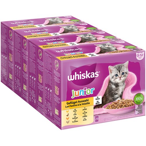 JUMBO pakiranje Whiskas 1+ Adult vrečke 96 x 85 g - Junior perutninski izbor v želeju Slike