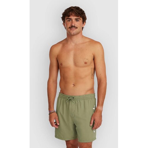O'neill Logo 16'' Boardshorts avery fern Cene