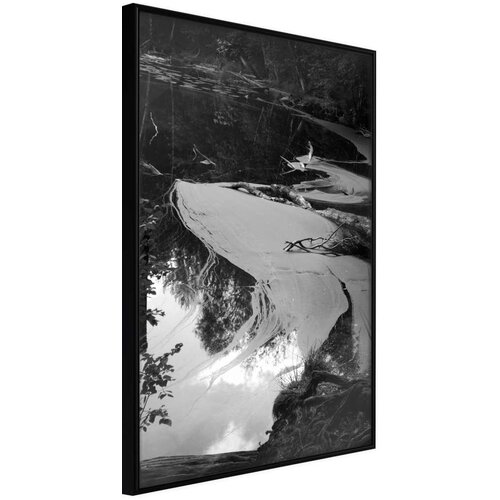  Poster - Duckweed 20x30 Cijene