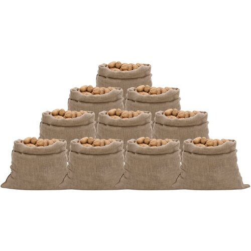 VidaXL Jutene vreće 10 kom 100 x 110 cm 100 % juta 220 g/m&amp;sup2; Slike