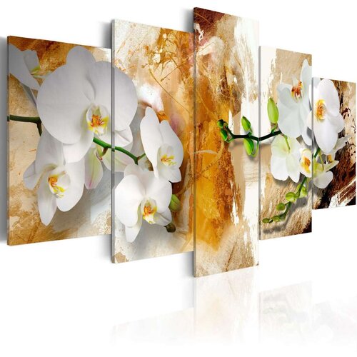  Slika - Brown Paint and Orchid 200x100 Slike
