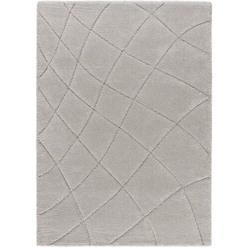 Universal Svijetlo sivi tepih 133x190 cm Molier &amp;ndash; Slike
