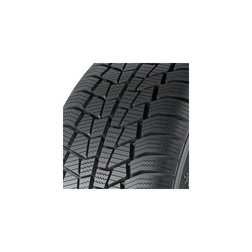 General Altimax Winter 3 ( 195/65 R15 91T ) Slike