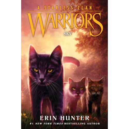 Harper Collins Publishers Ltd Erin Hunter - Warriors A Starless Clan, Vol. 2: Sky Slike