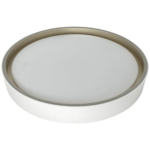 XXXL STROPNA LED-SVETILKA LEAH /1440 lm/3000/4000/6500 K// Cene