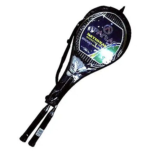 Spartan sport Set za badminton u torbi - Spartan Cijene
