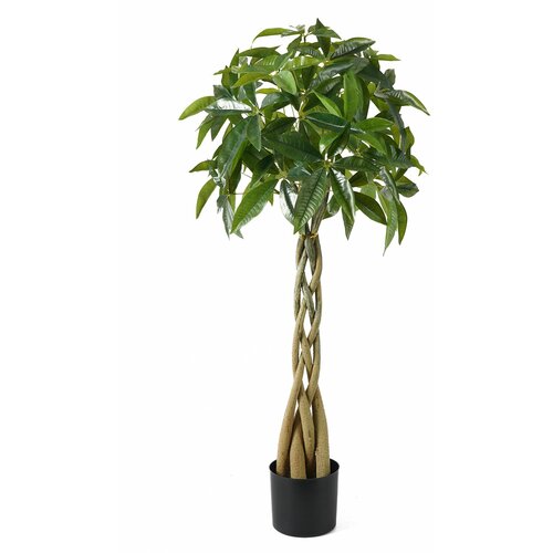 Lilium dekorativno stablo šeflera 120cm 567297 Cene