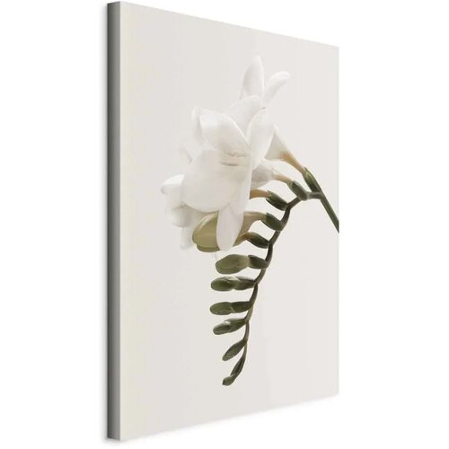  Slika - Spring Headdress (1 Part) Vertical 20x30 Cijene
